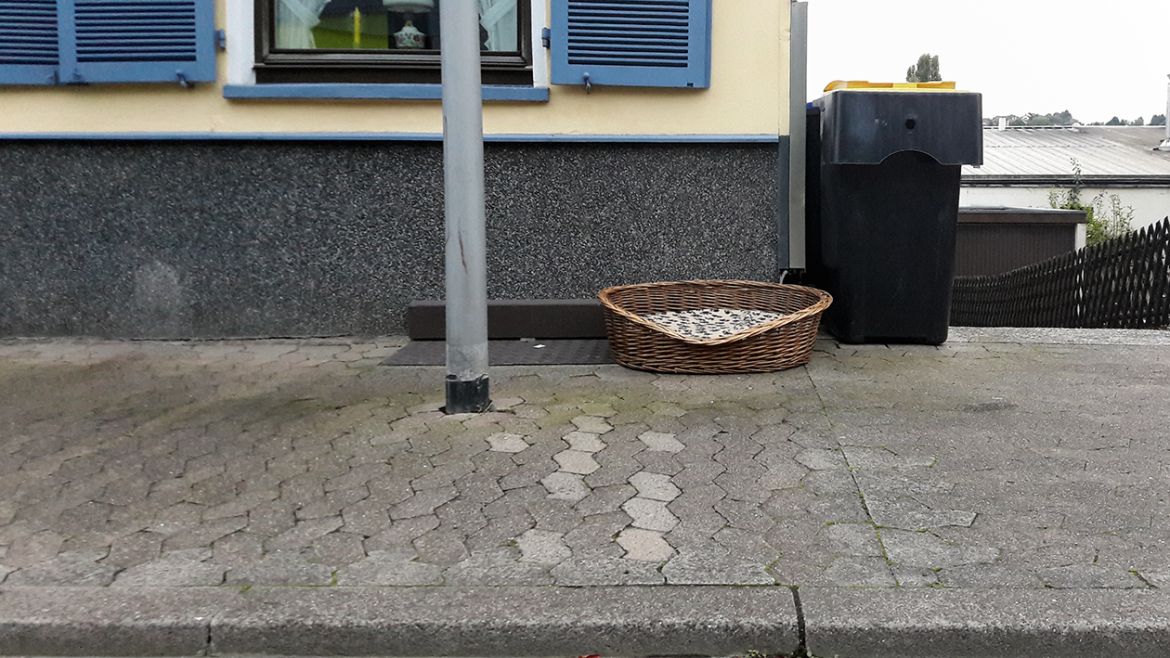 17 r ausgestellt
