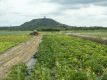 Bild 24