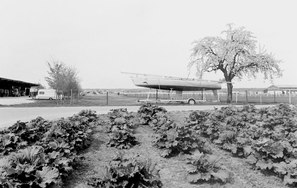 Agrarland Vorderpfalz 32