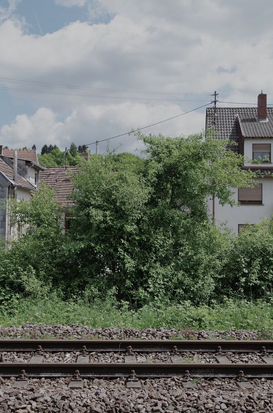 08 Bübingen rück
