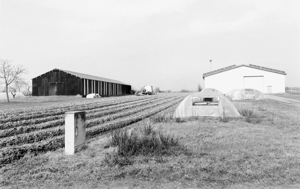 Agrarland Vorderpfalz 6