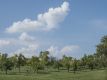 Bild 39