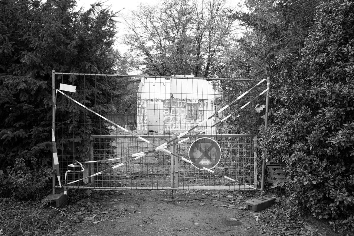 lichtung-31