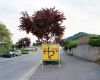 ArnoPaul_Stammdesch_01