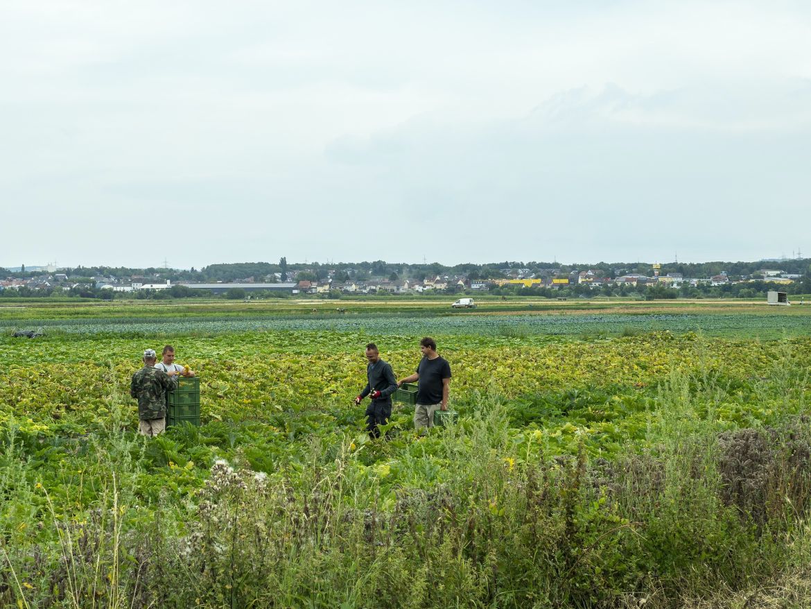 Bild 02