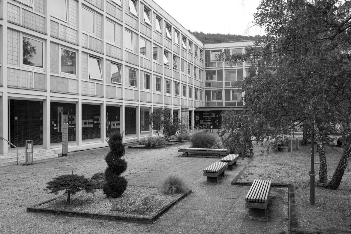 lichtung-48