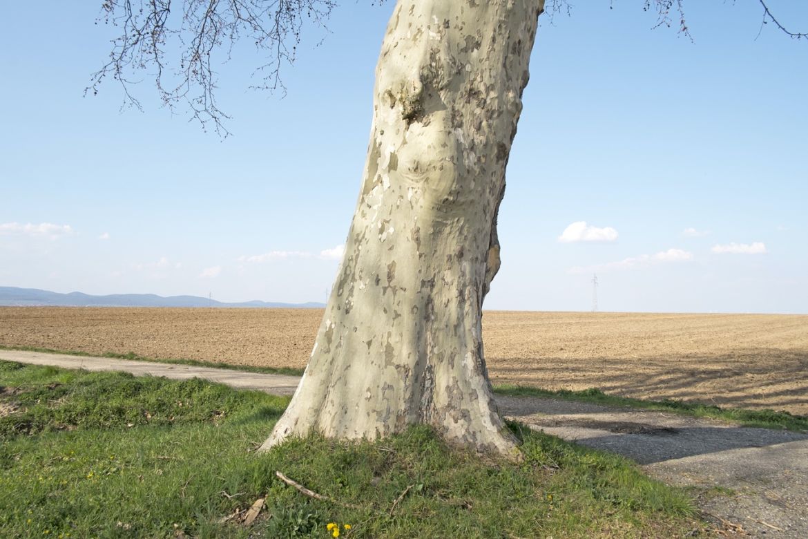 046 Frohnackerhof