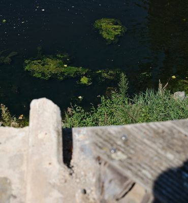Ein Jahr